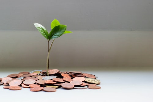 No wasted money - smart investment for your business